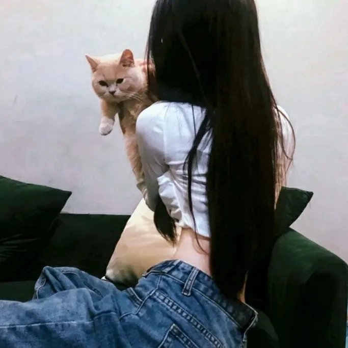 麦里斯德与黑宝马